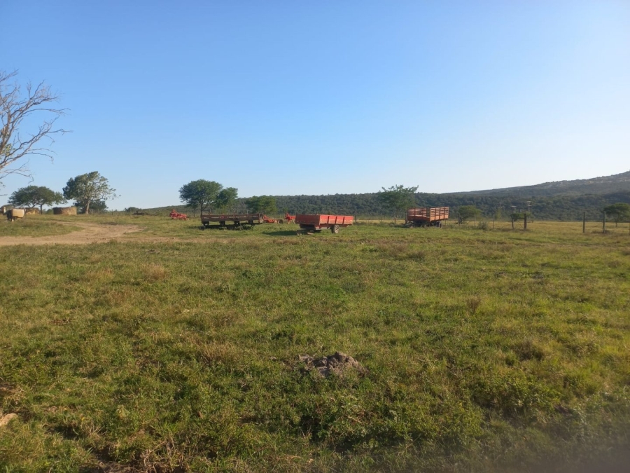 Commercial Property for Sale in Komga Rural Eastern Cape